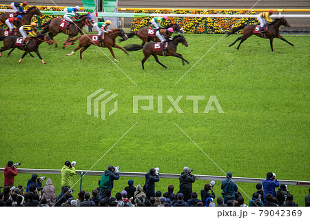 競馬 ゴール 競馬 ゴール 79042369