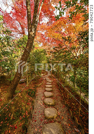京都大原　宝泉院、紅葉の「宝楽園」 79042723