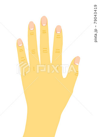 手の甲のシンプルなイラスト しわありのイラスト素材