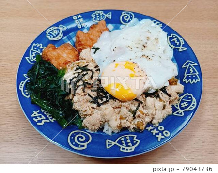 ワンプレートの家庭のお昼ご飯 ワンプレートの家庭のお昼ご飯 79043736