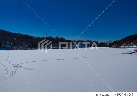 真冬の聖湖の足跡 79044754