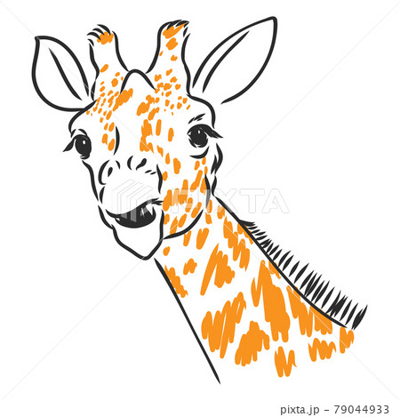 Black and white vector sketch of a male Nyala antelope 79044933