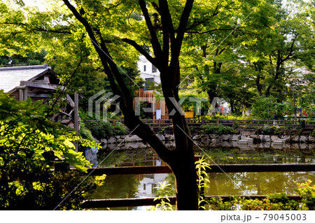 都心にある快適空間　綺麗なった公衆トイレがる鍋島松濤公園の風景 79045003