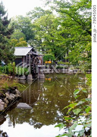 都心にある快適空間 綺麗なった公衆トイレがる鍋島松濤公園の風景 都心にある快適空間 綺麗なった公衆トイレがる鍋島松濤公園の風景 79045005