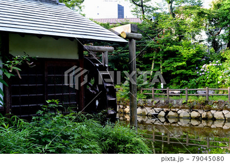 都心にある快適な空間 綺麗なった木製公衆トイレがる鍋島松濤公園 都心にある快適な空間 綺麗なった木製公衆トイレがる鍋島松濤公園 79045080