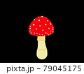赤い毒キノコ 79045175