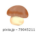 茶色いきのこ 79045211