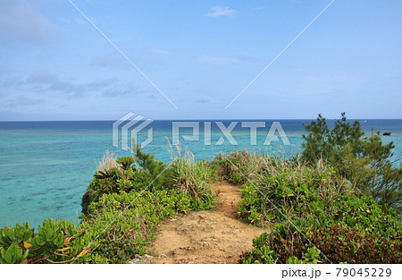 透明度抜群の海　沖縄・ザネー浜　 79045229