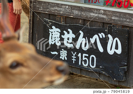鹿せんべい売り場と鹿 鹿せんべい売り場と鹿 79045819