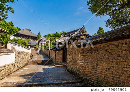 東大寺裏参道の土塀を歩く 東大寺裏参道の土塀を歩く 79045901