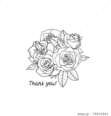 Line art illustration of hand drawn rose flowers bouquet with lettering text thank you. Line art illustration of hand drawn rose flowers bouquet with lettering text thank you. 79045941