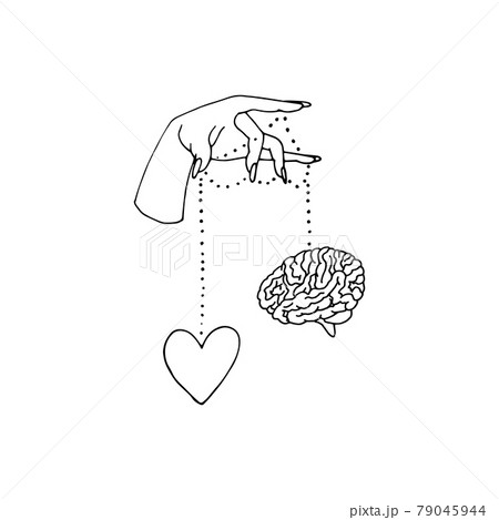 Line art illustration of hand drawn female hands holding heart and a brain. Line art illustration of hand drawn female hands holding heart and a brain. 79045944