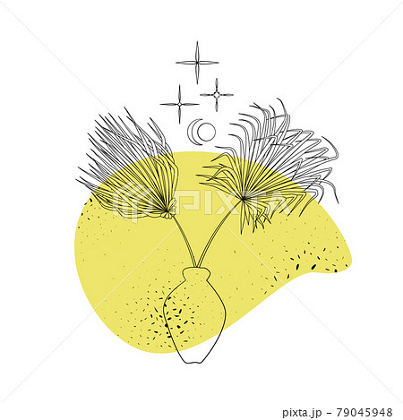 Line art black tropical potted house plant windmill palm with colorful abstract boho shape background. 79045948