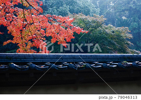 佛通寺の紅葉 広島県三原市 佛通寺の紅葉 広島県三原市 79046313