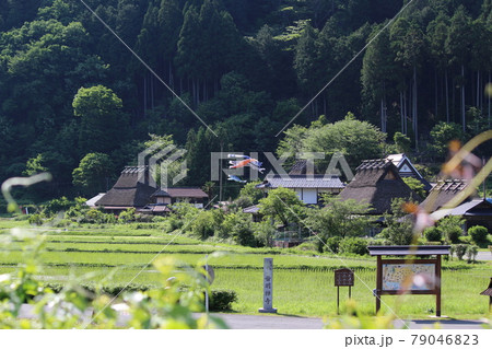 京都　美山　かやぶきの里　春　【京都府】 79046823