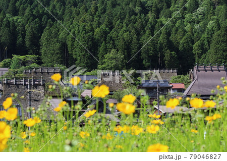京都 美山 かやぶきの里 春 【京都府】 京都 美山 かやぶきの里 春 【京都府】 79046827