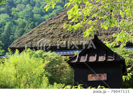 美山　かやぶきの里　田園風景　【京都府】 79047115