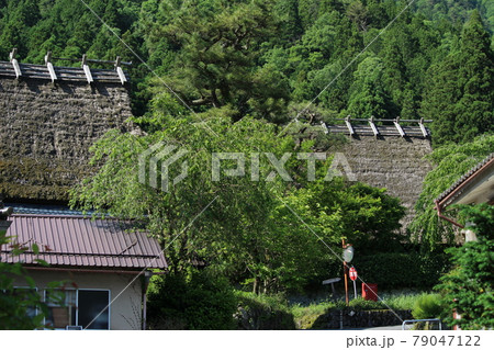 美山　かやぶきの里　田園風景　【京都府】 79047122