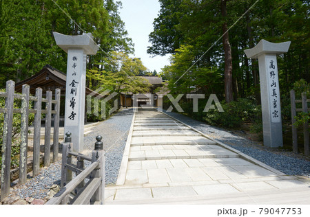 高野山金剛峯寺 正門への参道 和歌山県高野町 高野山金剛峯寺 正門への参道 和歌山県高野町 79047753