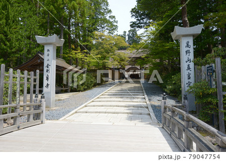 高野山金剛峯寺 正門への参道 和歌山県高野町 高野山金剛峯寺 正門への参道 和歌山県高野町 79047754