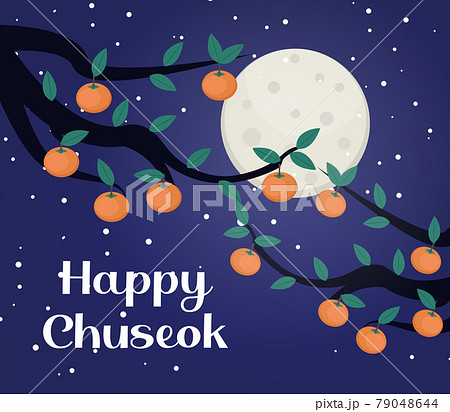 Happy Chuseok, Mid autumn festival card, poster template for your design. Persimmons Tree Branch, Korean Thanksgiving and Harvest Festival. Vector illustration 79048644