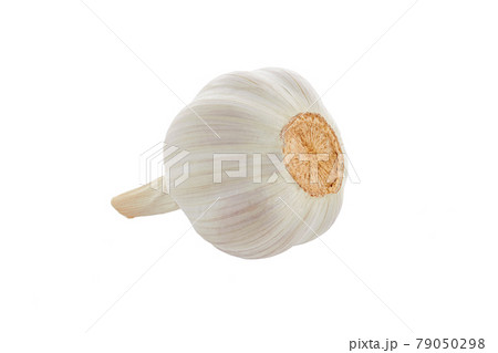 Fresh garlic head on white background 79050298