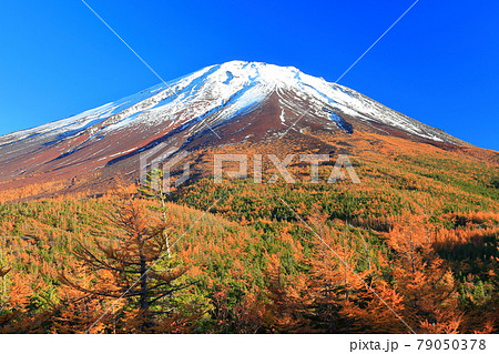 【山梨県】奥庭から見た富士山と紅葉 79050378