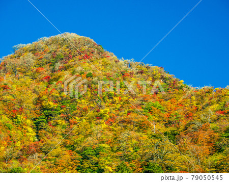 紅葉に染まる英彦山 紅葉に染まる英彦山 79050545