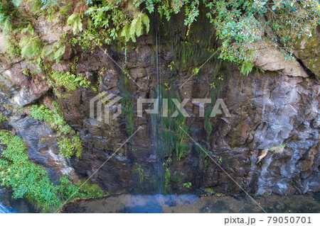 浅瀬に流れ落ちる水流と苔のある風景 浅瀬に流れ落ちる水流と苔のある風景 79050701