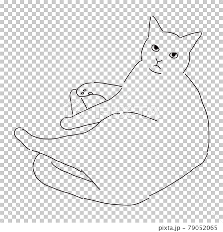 寝転がっている猫の線画イラスト 79052065