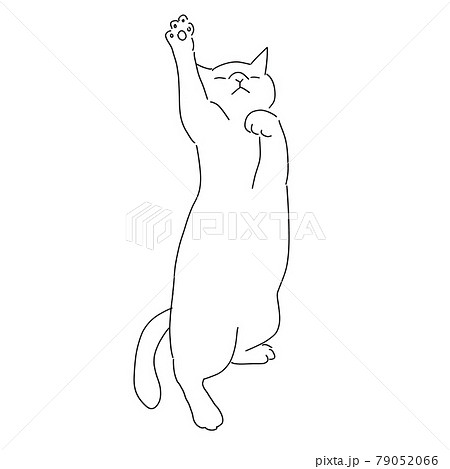 挙手している猫の線画イラスト 79052066