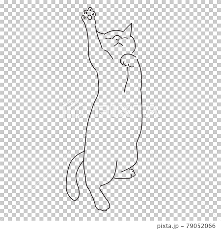 挙手している猫の線画イラスト 79052066