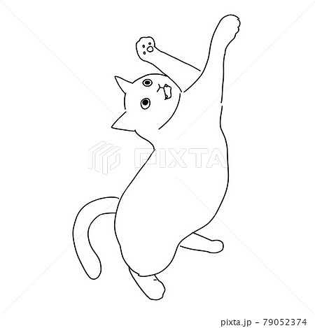 戦う じゃれている猫の線画イラストのイラスト素材