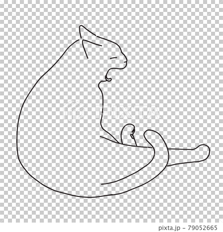 あくびしている猫の線画イラスト 79052665