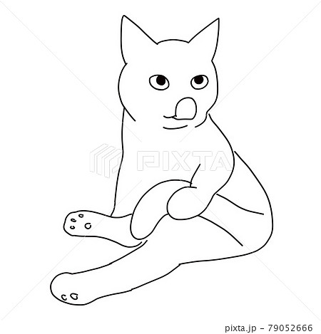 グルーミング中に舌を出している猫の線画イラストのイラスト素材