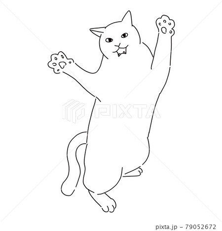 ファイティングポーズの猫の線画イラスト 79052672