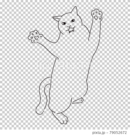 ファイティングポーズの猫の線画イラスト 79052672