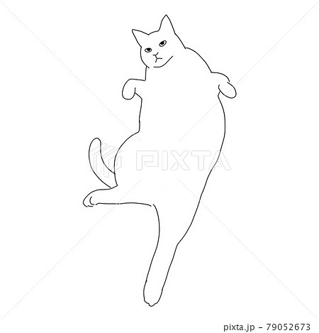 だらけきっている猫の線画イラスト 79052673