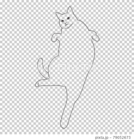 だらけきっている猫の線画イラスト 79052673