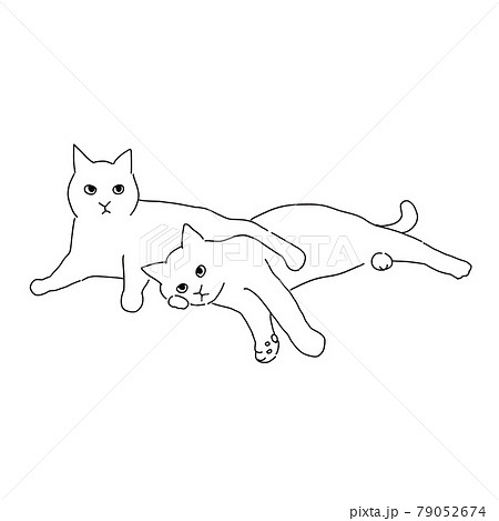 二匹でくっついている仲良しの猫の線画イラストのイラスト素材