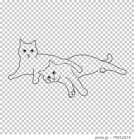 二匹でくっついている仲良しの猫の線画イラスト 79052674