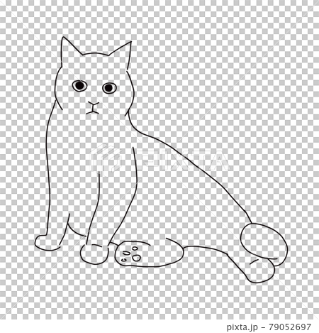 Line drawing illustration of a sitting cat Line drawing illustration of a sitting cat 79052697