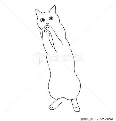 おねだりのポーズの猫の線画イラスト 79052698