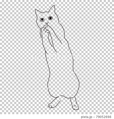 おねだりのポーズの猫の線画イラスト 79052698