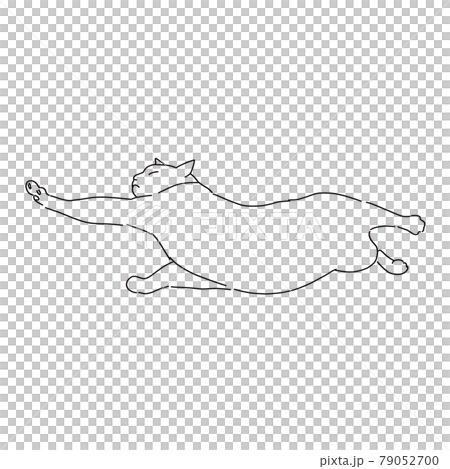 伸びをしている猫の線画イラスト 79052700