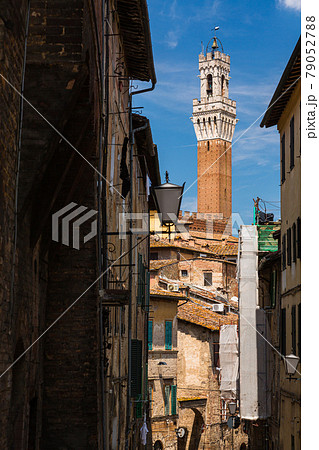 イタリア　シエーナの路地から見えるマンジャの塔 79052788