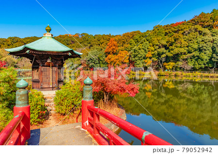 秋の定光寺公園〈愛知県瀬戸市〉 79052942