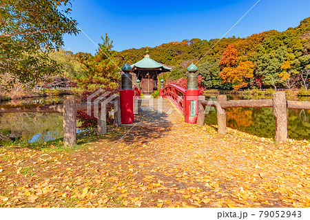 秋の定光寺公園〈愛知県瀬戸市〉 79052943