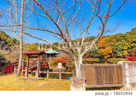 秋の定光寺公園〈愛知県瀬戸市〉 79052944