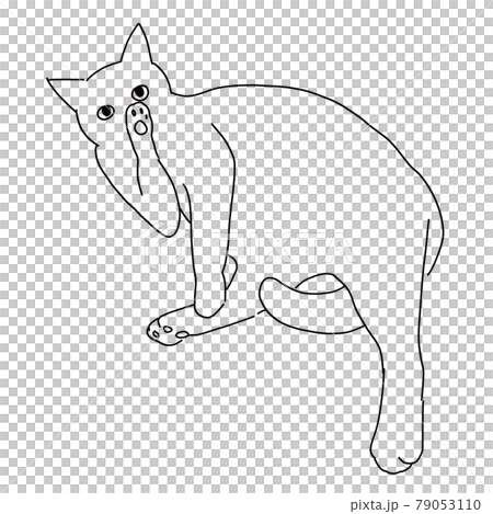 Line drawing illustration of a cat hairing Line drawing illustration of a cat hairing 79053110
